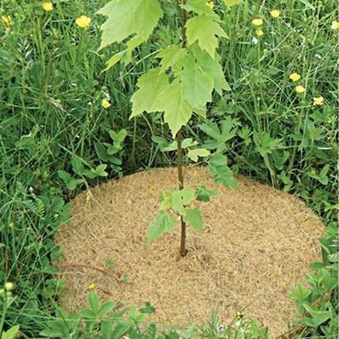 Disk za malčiranje 23 cm,5