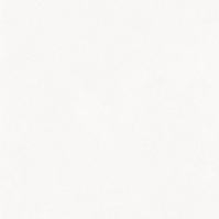 Gres Craft blanco 60/60 rett. PEI IV