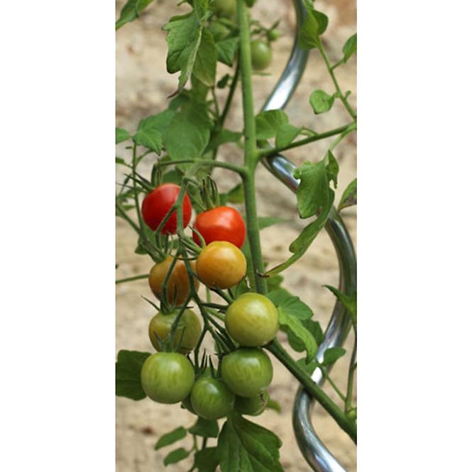 Spiralni potporanj za rajčice MSR-6-180