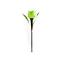 Solarna svjetiljka tulipani GLE91220 Led, D: 4,5cm, H:,4
