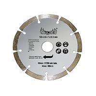 REZNI DISK DIY SUŠA SEGMENT  125MM