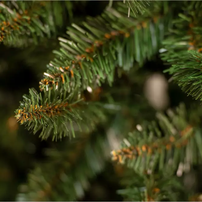 Božićno drvo prirodna smreka 220,3