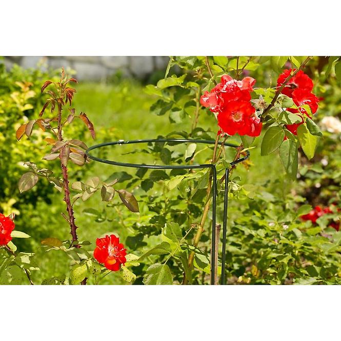 86WD DVODIJELNA POTPORA ZA BILJKE, 45CM, 05753,6