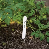 Etikete za biljke 15x1,5 cm paket 25 kom TYE1515 Etikete za biljke 15x1,5 cm paket 25 kom TYE1515