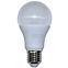 Žarulja LED EM 10W A60 E27 6500K,3