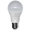 Žarulja LED QTEC A60 13W E27 4200K,2
