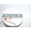 OGLEDA TWIST 2706/Z-B-2 SA LW2,6