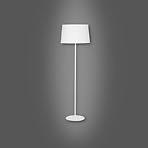 SVIBANJ SVIBANJ 2919 LP1