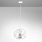 VISILICA CAGE 2683/Z-B-1 BI LW1