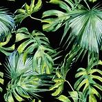 Sdaleni panel 60/60 Jungle Black Esg