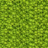 Sdaleni panel 60/60 Evergreen-2 Esg