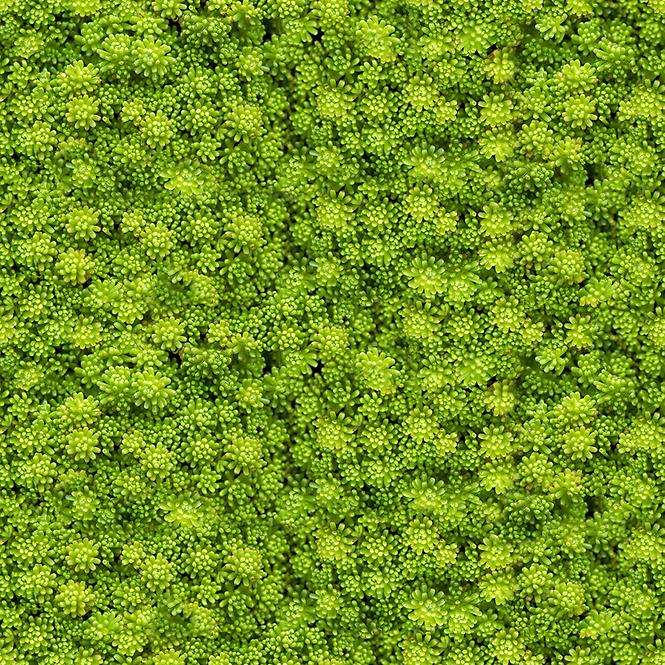 Sdaleni panel 60/60 Evergreen-2 Esg