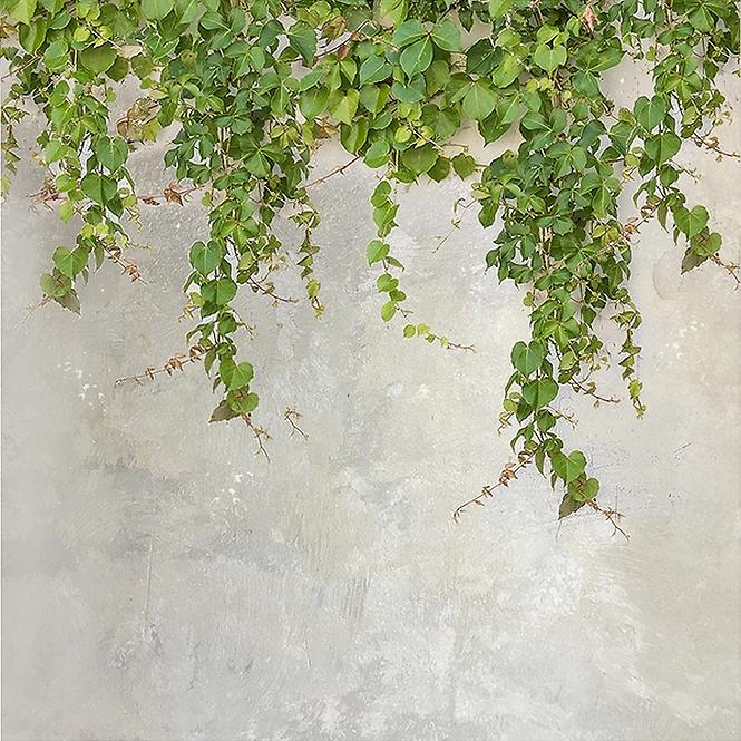 Sdaleni panel 60/60 Cement Ivy-2 Esg