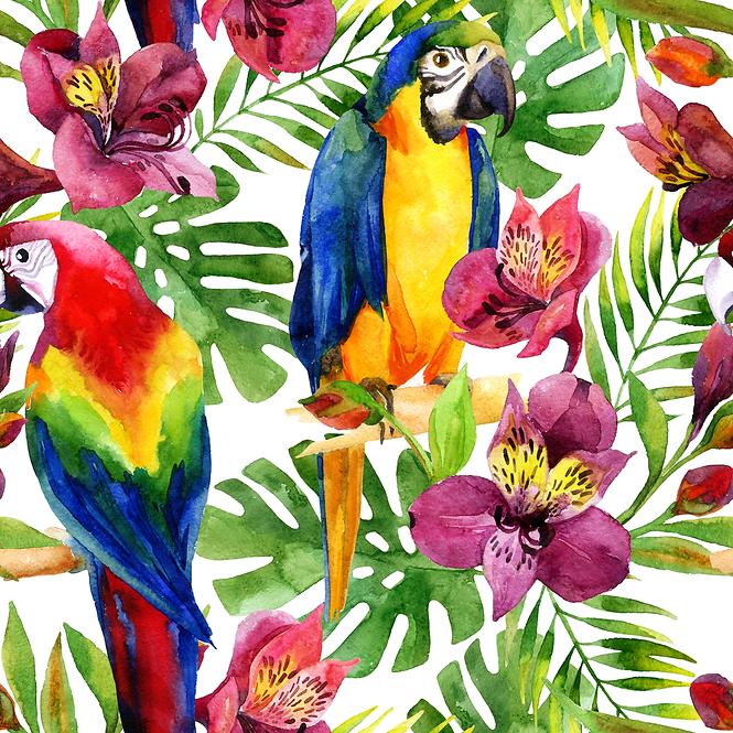 Sdaleni panel 60/60 Jungle Birds-2 Esg