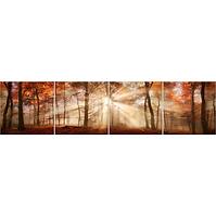 Sdaleni panel 60/240 Forest-1 4-Elem