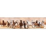 Sdaleni panel 60/240 Horses 4-Elem