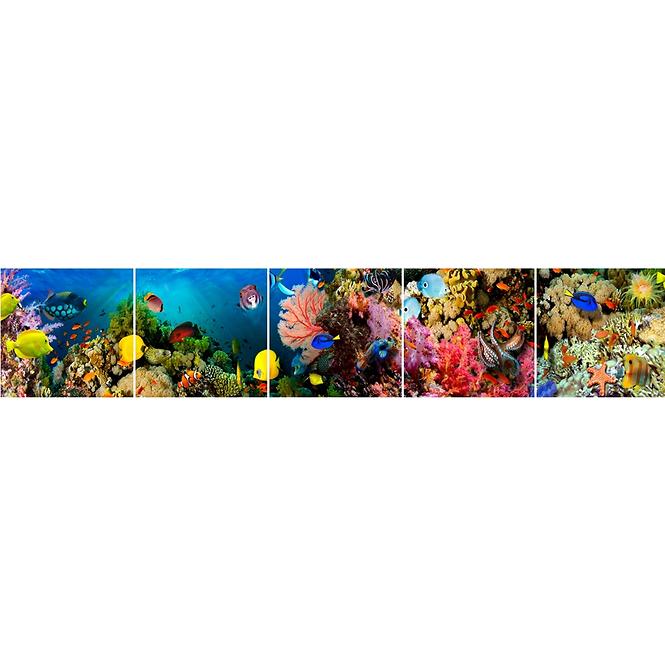 Sdaleni panel 60/300 Aquarium-1 5-Elem