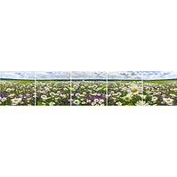 Sdaleni panel 60/300 Flowers-3 5-Elem