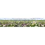 Sdaleni panel 60/300 Flowers-3 5-Elem