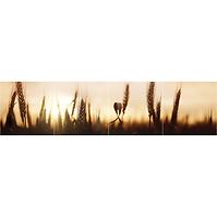 Sdaleni panel 60/240 Country 4-Elem
