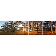Sdaleni panel 60/240 Forest-2 4-Elem
