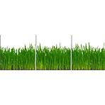 Sdaleni panel 60/180 Grass 3-Elem