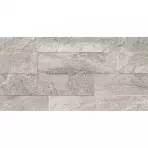 Gres Ardesia Silver 31/62