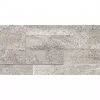 Gres Ardesia Silver 31/62