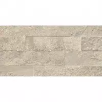 Gres Ardesia Taupe 31/62