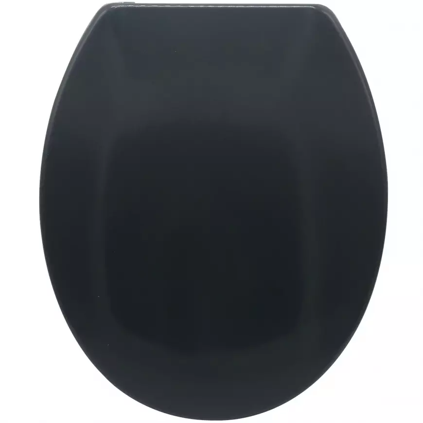 WC DASKA DARK GRAY SAMOSPUSTAJUCA