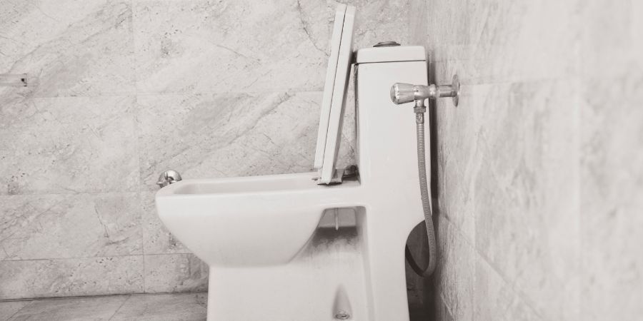 WC školjke bez ruba - prednosti i nedostaci